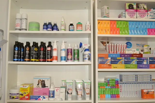 Rafturi cu produse veterinare în cabinet