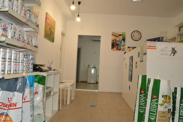 Zona interioară de acces și recepție a cabinetului